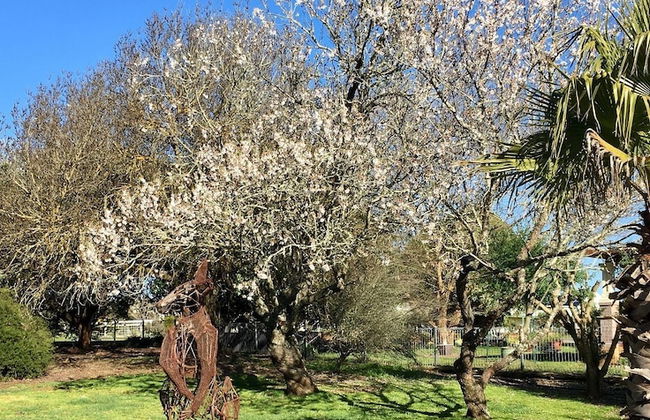 Sutton Spring Art Retreats - Foto 56