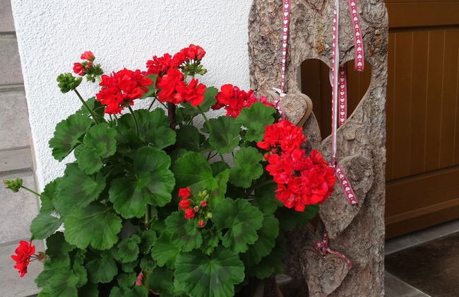 Appartement Margaretha - Foto 12