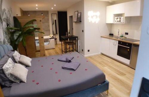 Appartement balnéothérapie et sauna hyper centre - Foto 9