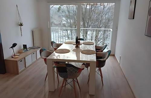 Vue du Doubs T4 cosy très bien situé - Foto 43