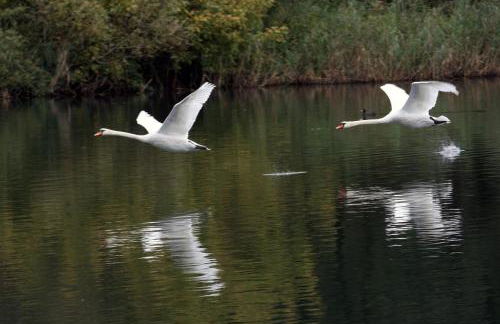 "LA TAVERNA" B&B - Foto 62