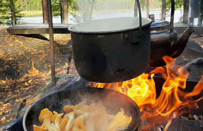 Mushroom Hunting Tour - Photo 6