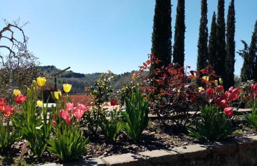 Gervasella - Foto 22