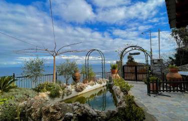 To giataki tou pappou - Foto 40