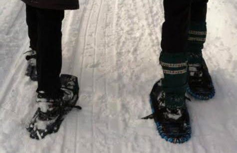 Southwoods Mountain Estate -private mansion, pool, hottub+ 15 acres - Foto 64