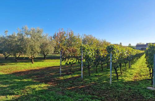 Villa Lorema-pet friendly on 5000 sqm garden,pool, jacuzzi, billiard&PS5 - Foto 20