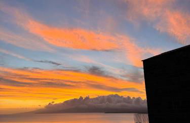 João de Oliveira - casas de campo - Photo 145