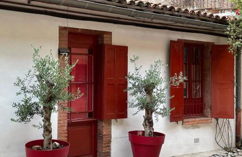 Petite chartreuse calme en plein coeur de Toulouse - Foto 1