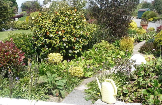 Island View Cottage Bantry - Foto 12