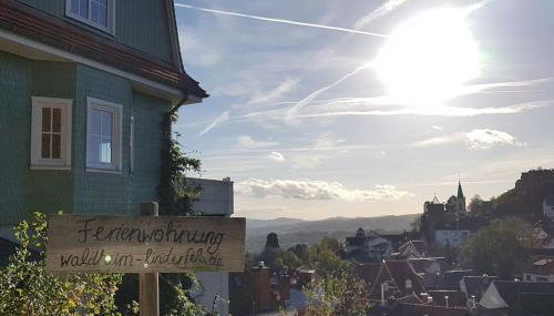 Waldheim Lindenfels - Foto 4