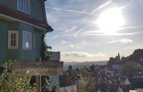 Waldheim Lindenfels - Foto 4