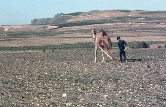 Casa victoria - Foto 58