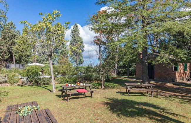 Casa Ciculino 8 - Photo 5