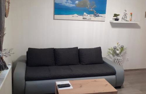 Apartmani Polanščak - Foto 26