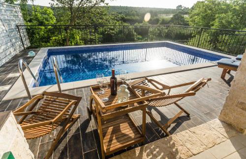 Villa Dvori Dida Mile - Foto 4