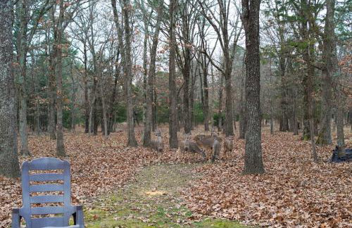 Tahlequah Duplex with Screened-in Porch and Fire Pit! - Foto 32