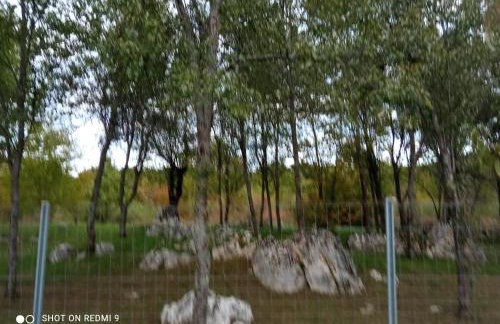 APARTMAN DEDA - Foto 31