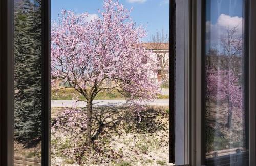 Agriturismo Albarossa - Foto 7