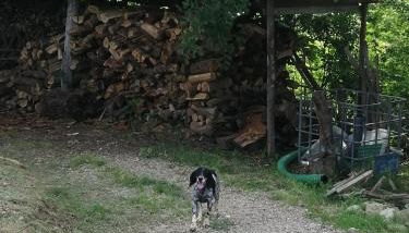 Appartamento Bellosguardo - Foto 2