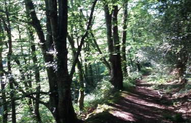 Maison de La Beslière meublé de tourisme 2 étoiles - Foto 59