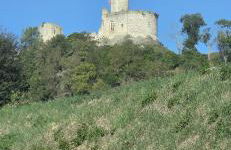 Aux deux Marronniers Cathares - Photo 31