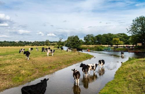 3 Bed in Colchester oc-94016 - Foto 21