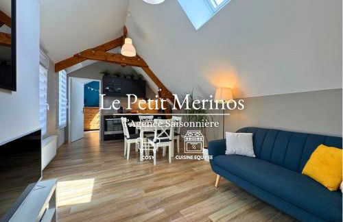 Le petit Mérinos - Rambouillet - - Foto 1