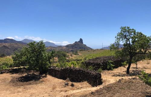Casa-Finca El Maipéz de Tejeda - Foto 21