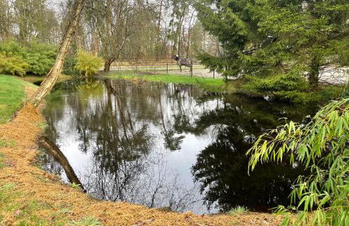 Haus am Teich - Foto 10