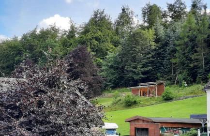 YALET Ferienhaus 2 appartementen vlakbij Willingen - Foto 37