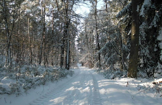 Holiday Home Hirtenkate Apartment 2 - Foto 7