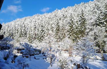 Les Papillons - Foto 17