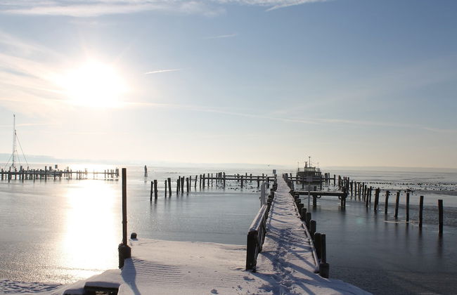 Apartment in Wittenbeck Near Baltic Sea - Photo 38