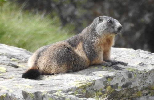 Bassiero Apartament - Photo 29