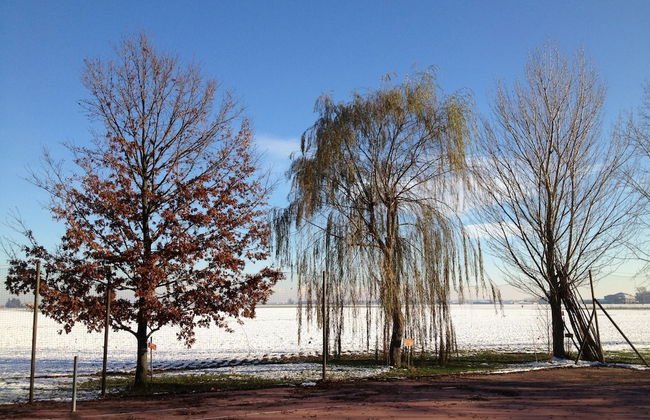 Apartment in Pontecchio With Pool & Tennis - Foto 41