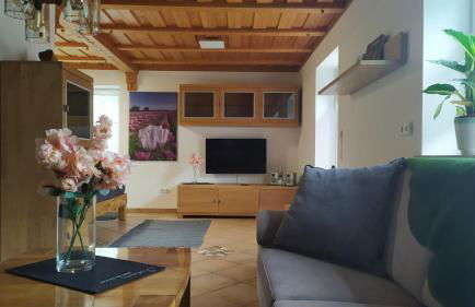 Ferienwohnung Exoten-Paradies im Garten Seggewiß - Tierfreie Nichtraucherwohnung in Raesfeld, Kreis Borken - Foto 4