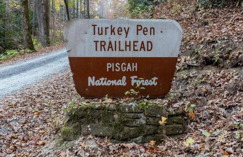 Creekside Guest House Mountains & Relax to the soothing sound of the creek - Foto 44