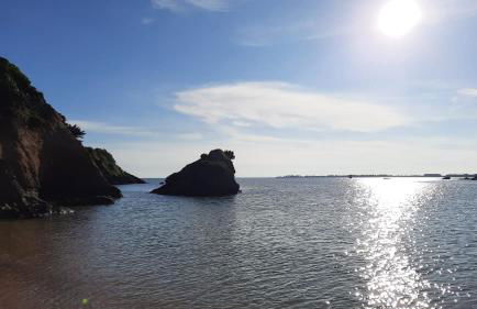 Maison Bretonne avec piscine - Foto 31