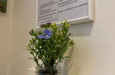 Living in the Dream Gole Alcantara Room - Foto 52