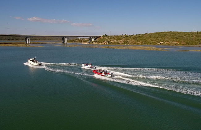 Villa Mónaco - Foto 21