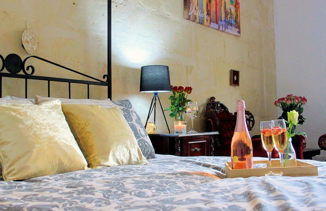 Maltese Maltese - Foto 25