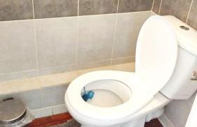 Méditerranée - Foto 15