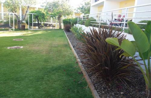 Encosta S. José -Vale Parra - Foto 19