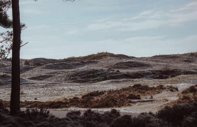 Elite Holiday Home in North Holland near Forest - Foto 24