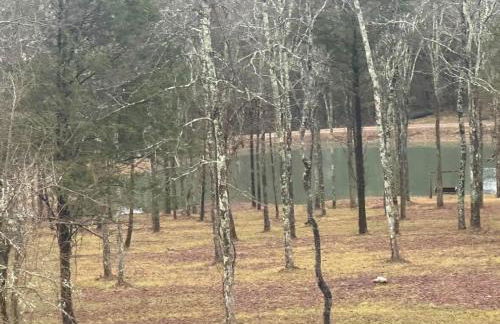 Luxury Mtn Log Home- Sevier Lodge at May Ridge - Foto 61