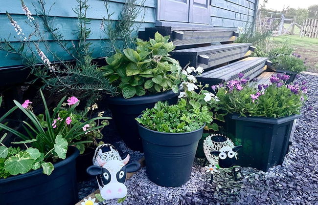 Shepherds Hut With Hot Tub, North Wales, Anglesey - Photo 19