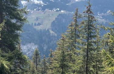 La Clusaz Escape - Foto 19