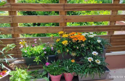 Les Bonbonieres d'Andrea Gavinies Pellegrin - Foto 40