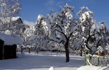 Pension Ochsen, Ferienwohnungen - Foto 6