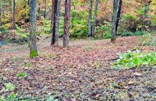 North Star Retreats - Foto 47